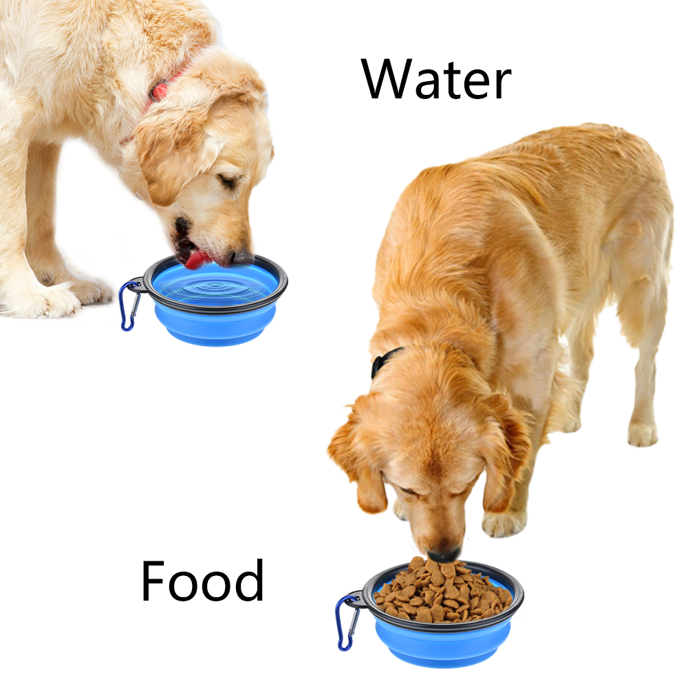 Zusammenklappbare Silikon-Hund – Camping Cooking Food Bewertung und Preis